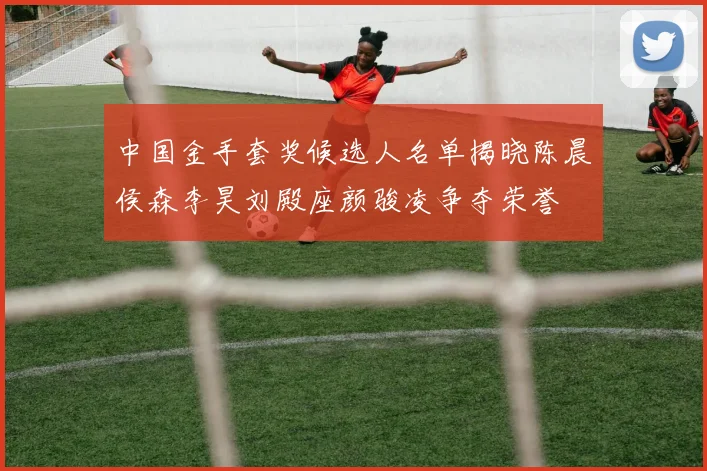 中国金手套奖候选人名单揭晓陈晨侯森李昊刘殿座颜骏凌争夺荣誉