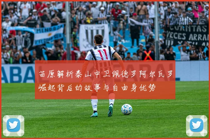 苗原解析泰山中卫佩德罗阿尔瓦罗崛起背后的故事与自由身优势