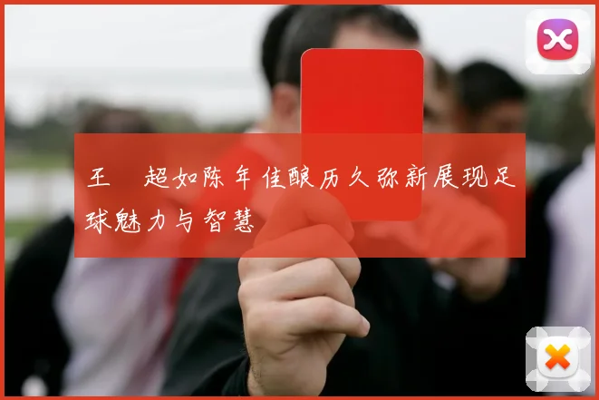 王燊超如陈年佳酿历久弥新展现足球魅力与智慧