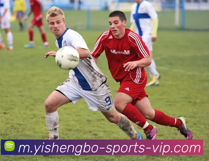 易胜博体育服务体系